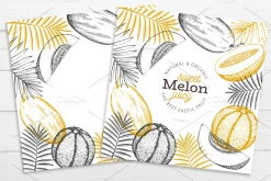Melon & Watermelon Vector Collection