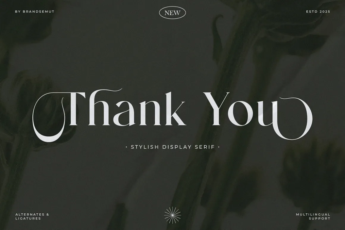 Mending – Stylish Display Serif Font