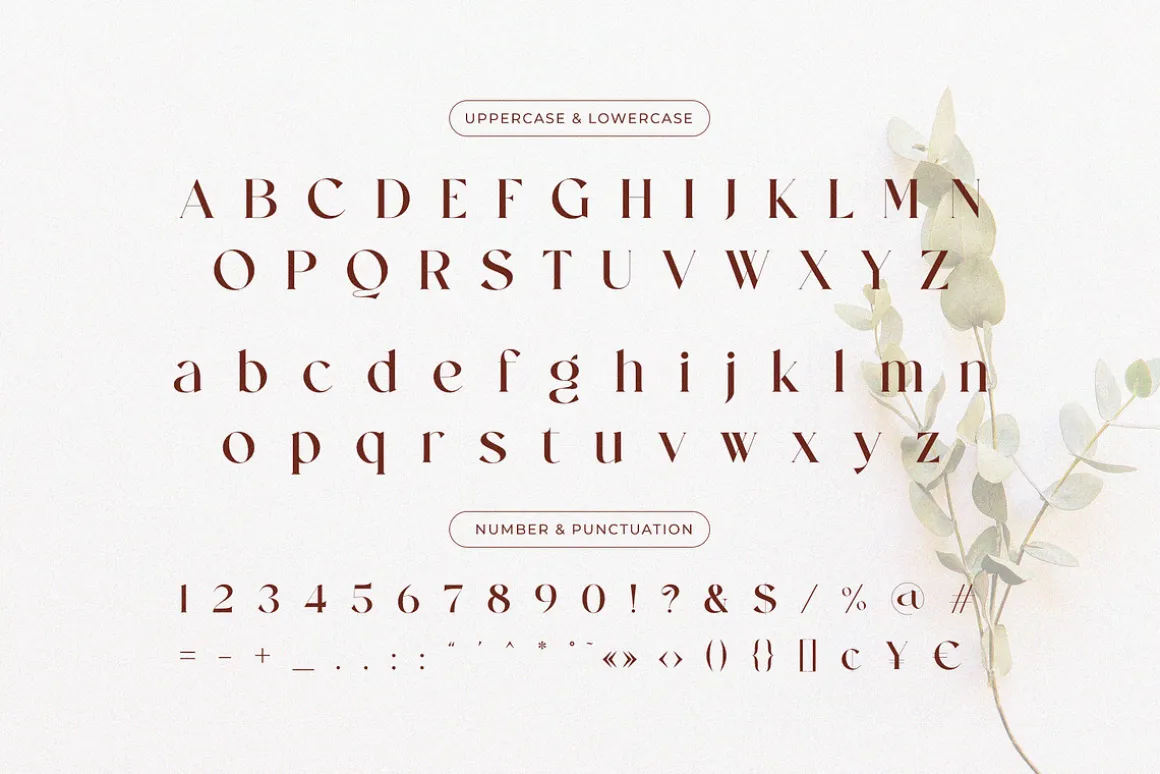 Mending – Stylish Display Serif Font