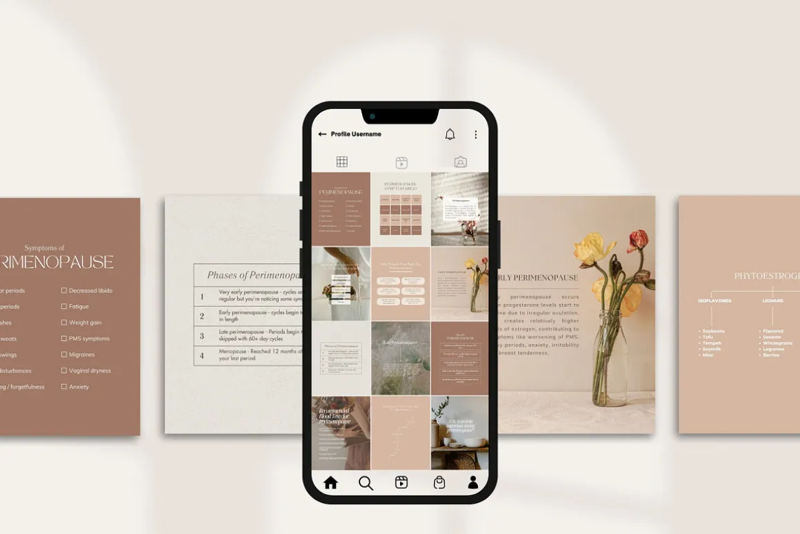 Menopause Instagram Posts Canva