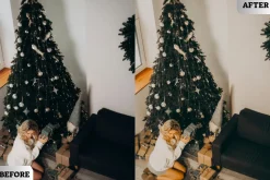 Merry Christmas Lightroom Presets