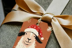 Merry Christmas Object Collection