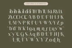 Mezaira Modern Serif Font