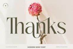 Mezaira Modern Serif Font