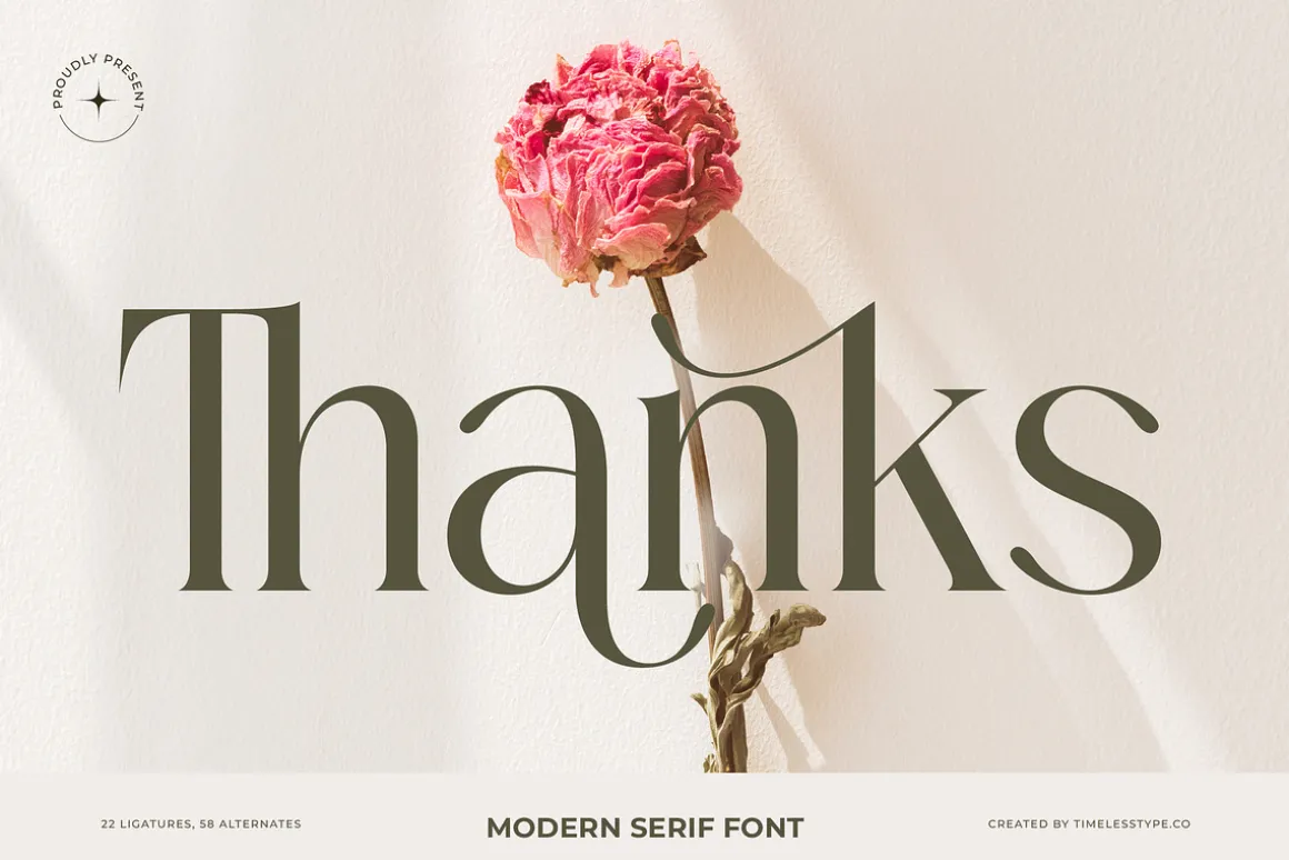 Mezaira Modern Serif Font