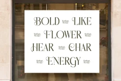 Mezaira Modern Serif Font