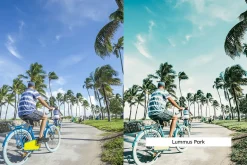20 Miami Lightroom Presets and LUTs