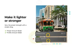 20 Miami Lightroom Presets and LUTs