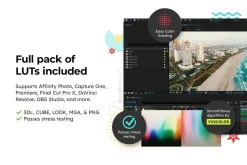 20 Miami Lightroom Presets and LUTs
