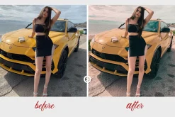 Miami LR Presets Mobile + Desktop