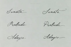 Midnight Symphony // Script font
