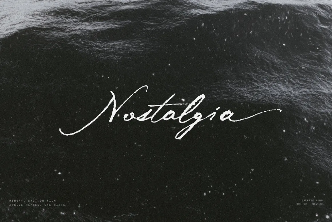 Midnight Symphony // Script font