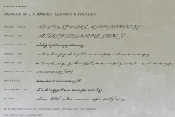 Midnight Symphony // Script font