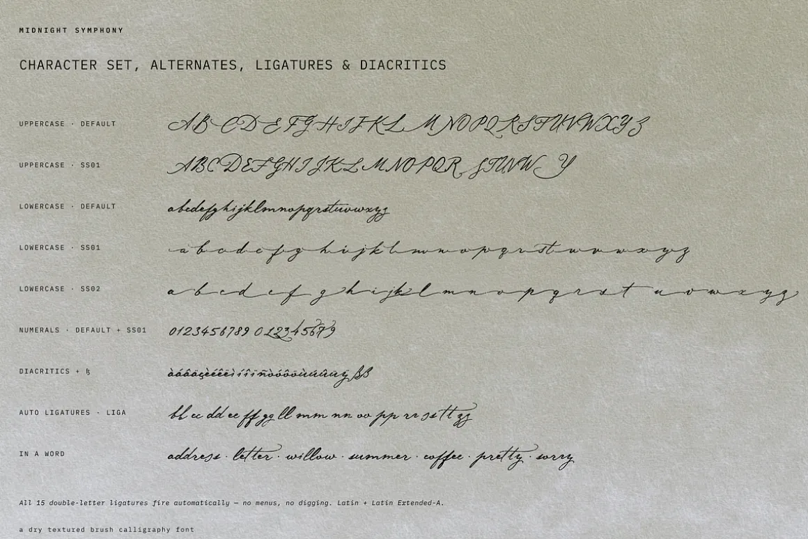 Midnight Symphony // Script font