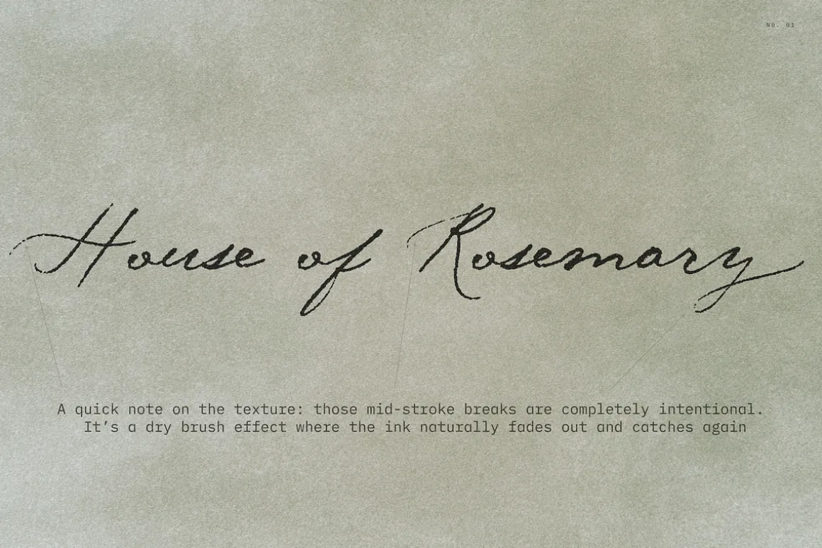 Midnight Symphony // Script font