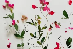 Midsummer - field flowers clipart