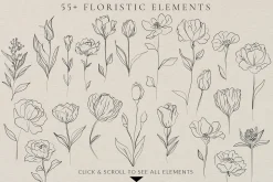 Minimalistic Line Flowers & Leaves