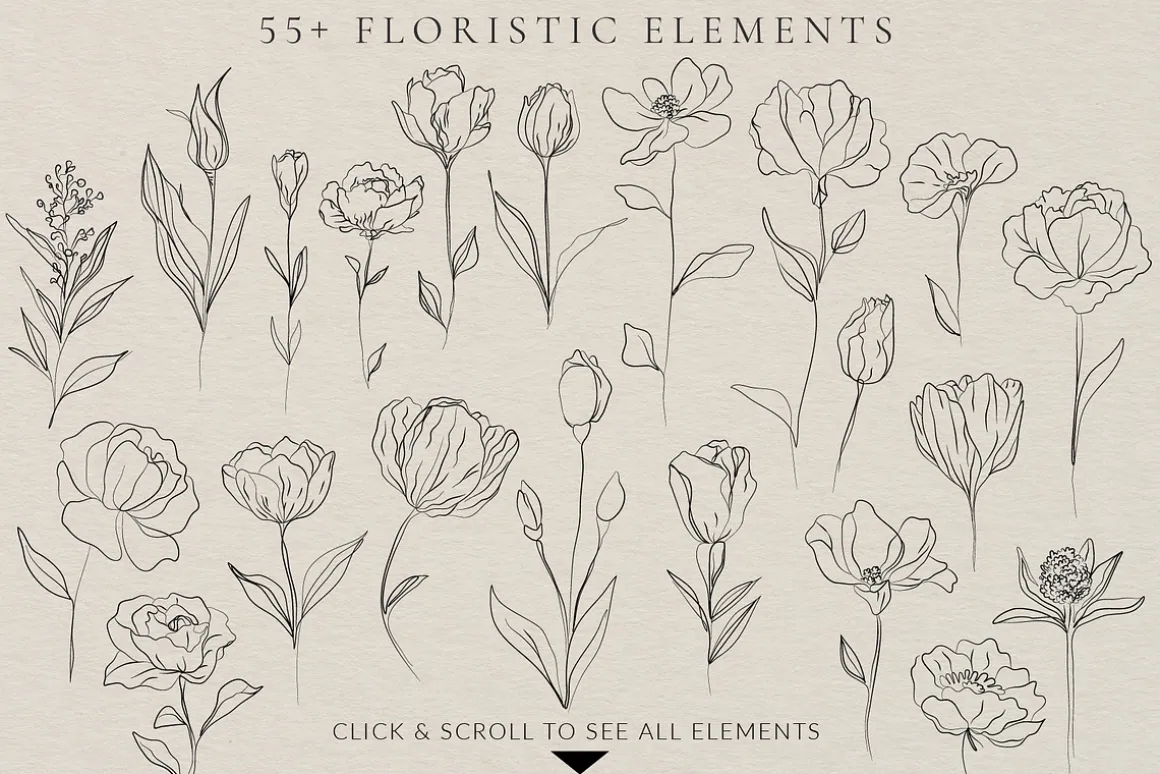 Minimalistic Line Flowers & Leaves