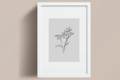 Minimalistic Line Flowers & Leaves