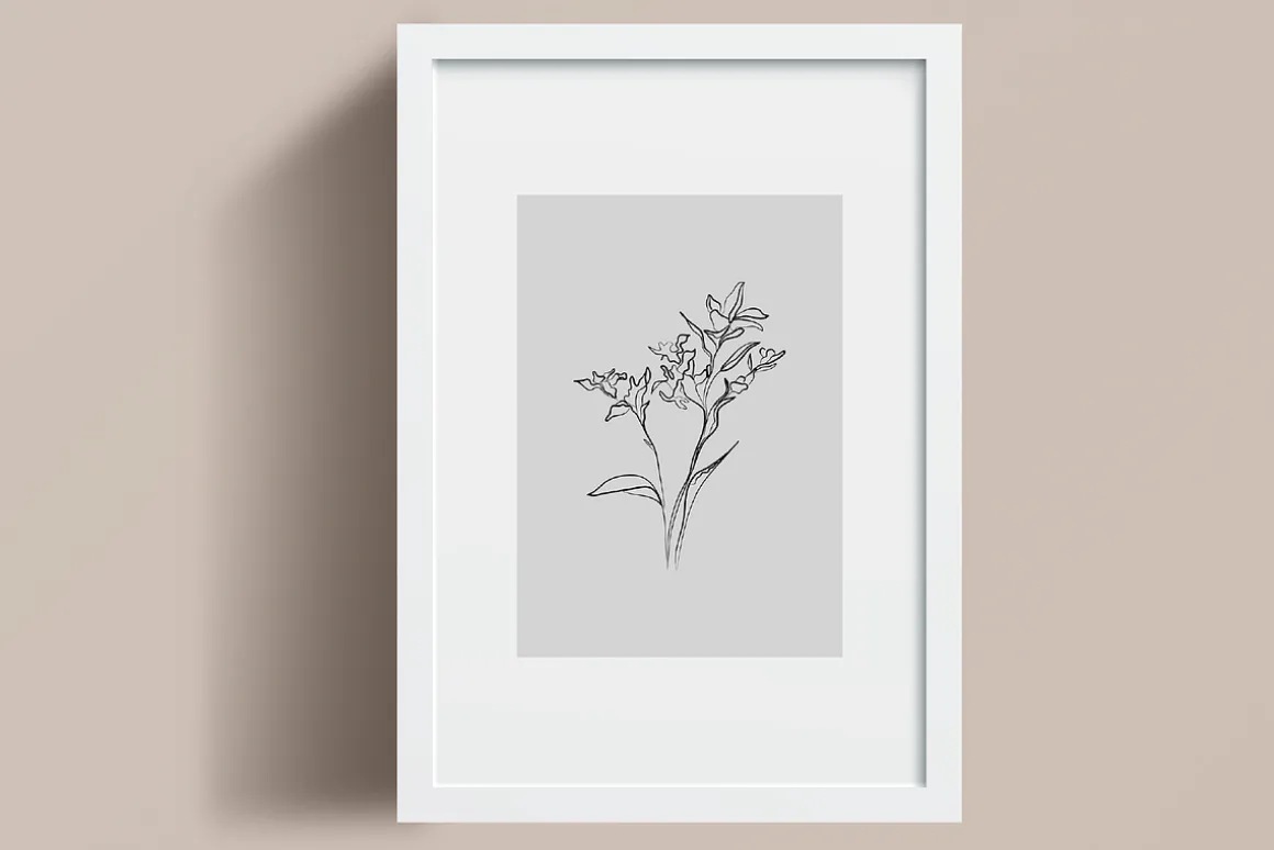 Minimalistic Line Flowers & Leaves