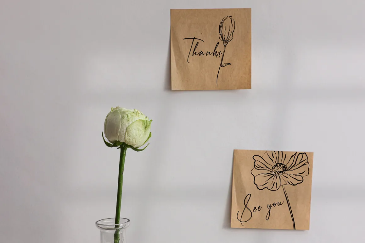 Minimalistic Line Flowers & Leaves