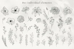 Minimalist Line Art Flowers
