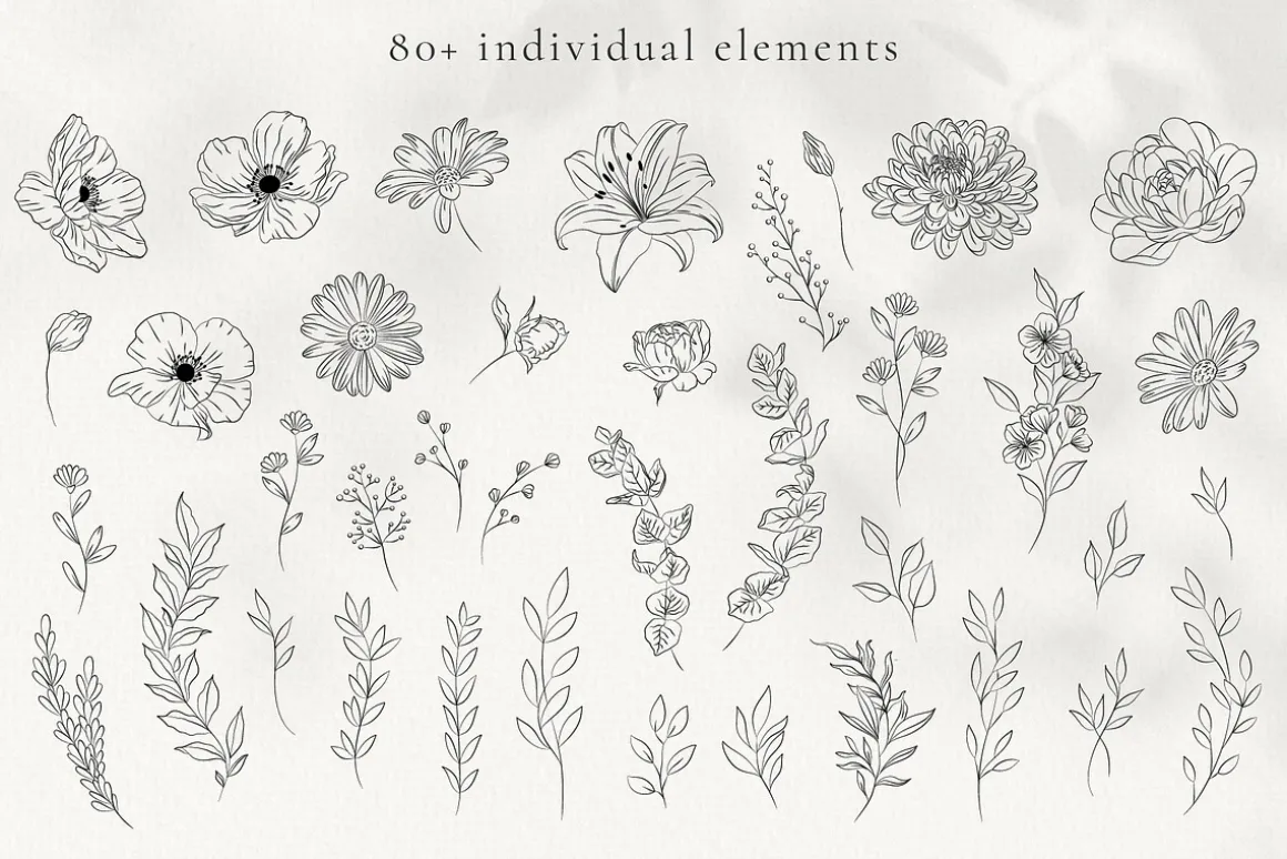 Minimalist Line Art Flowers