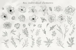 Minimalist Line Art Flowers