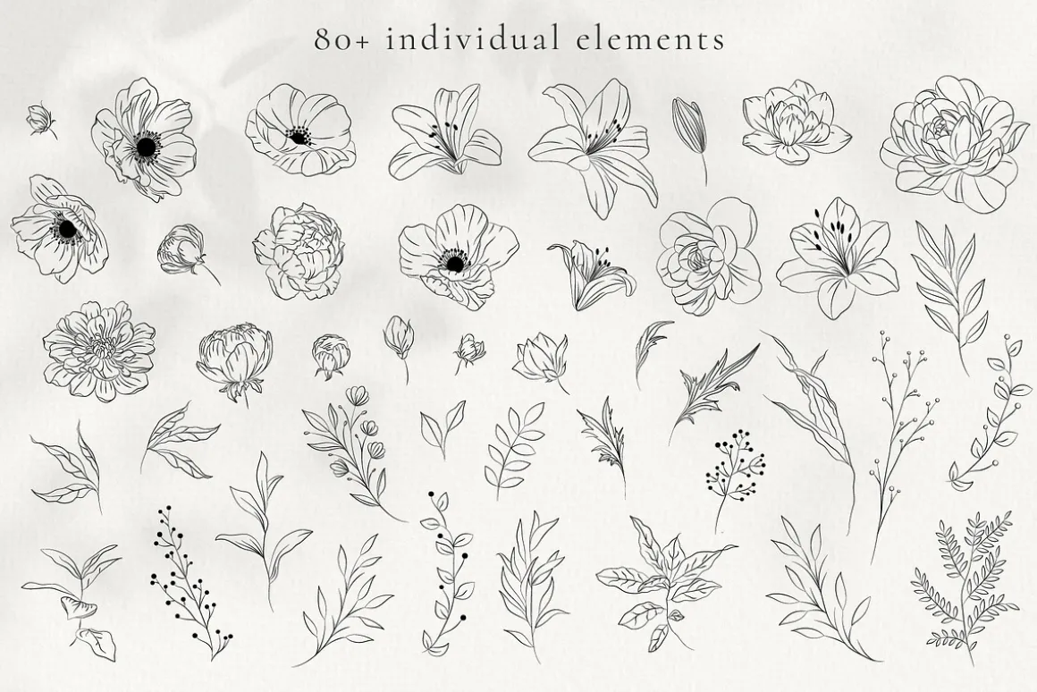 Minimalist Line Art Flowers