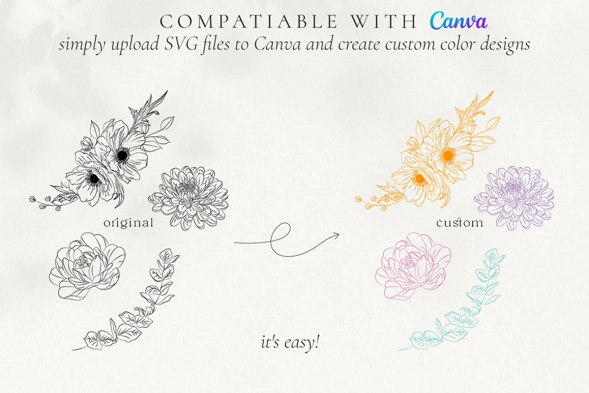 Minimalist Line Art Flowers