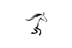 Minimalist Luxury Horse Logo