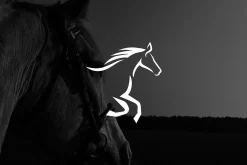 Minimalist Luxury Horse Logo