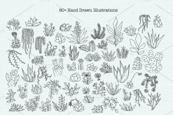 Minimalist Succulent Clipart Bundle
