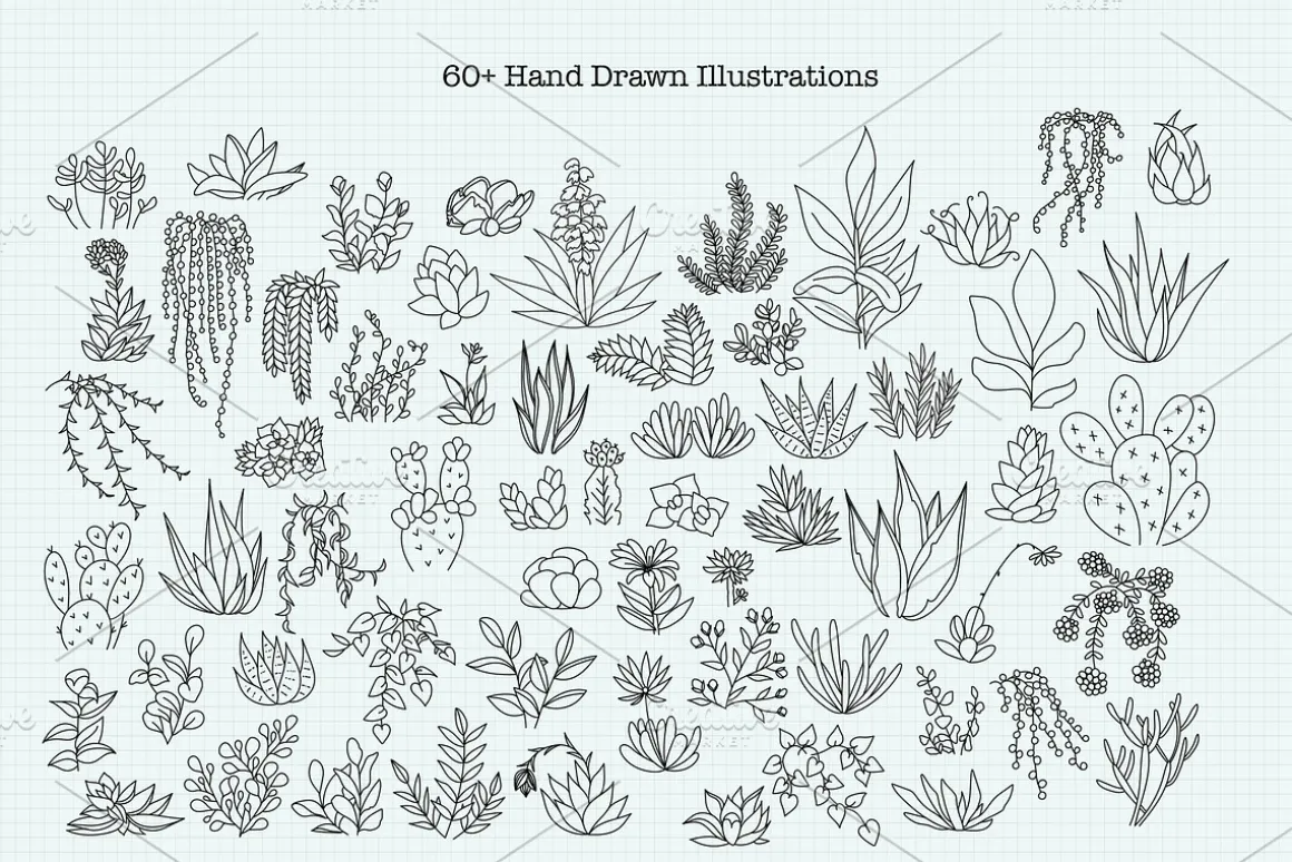 Minimalist Succulent Clipart Bundle