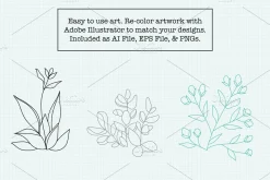 Minimalist Succulent Clipart Bundle