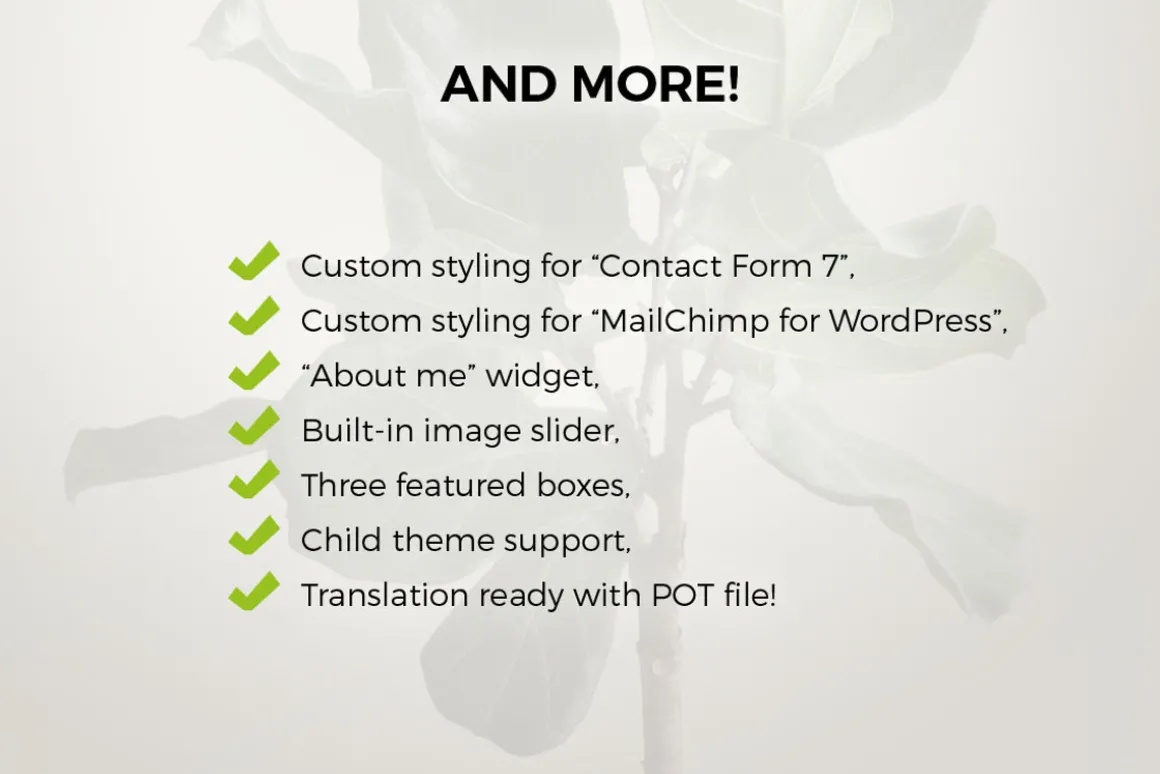 Minimal Wordpress Blog - TheWayIlive