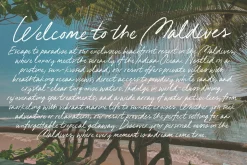 Mint + Magnolia Typeface