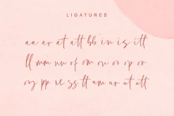 Misttoy Script