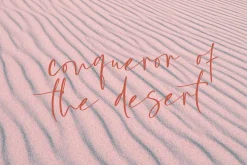 Misttoy Script