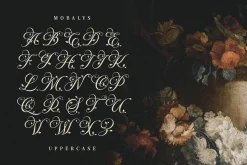 Mobalys Typeface