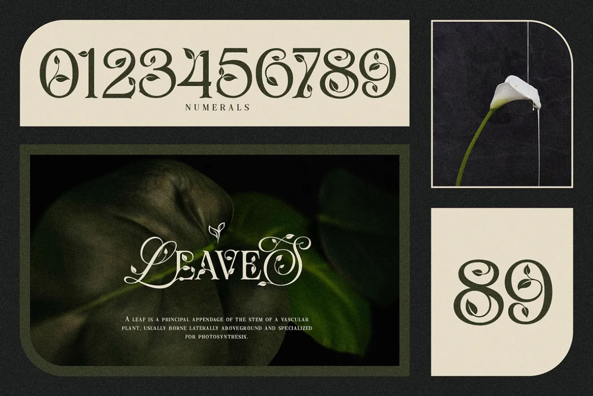 Mobalys Typeface