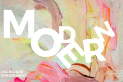 MODERN ABSTRACT LANDSCAPE
