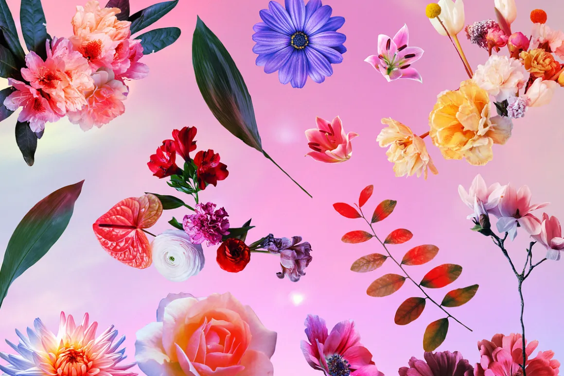 MODERN COLLAGE PORTRAITS