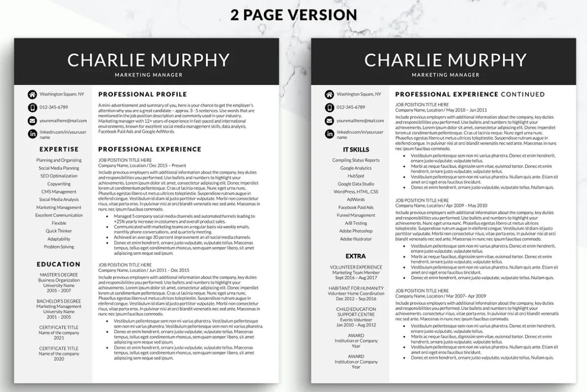 Modern CV Resume Template for Word