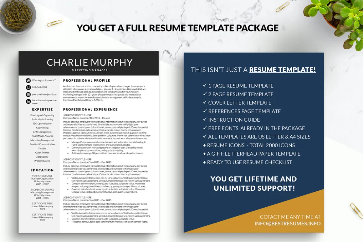 Modern CV Resume Template for Word