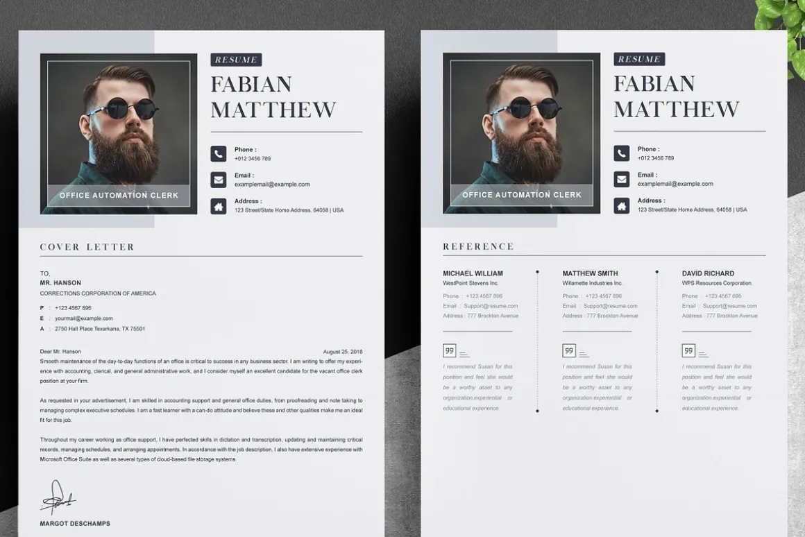 Modern Executive CEO Resume Template