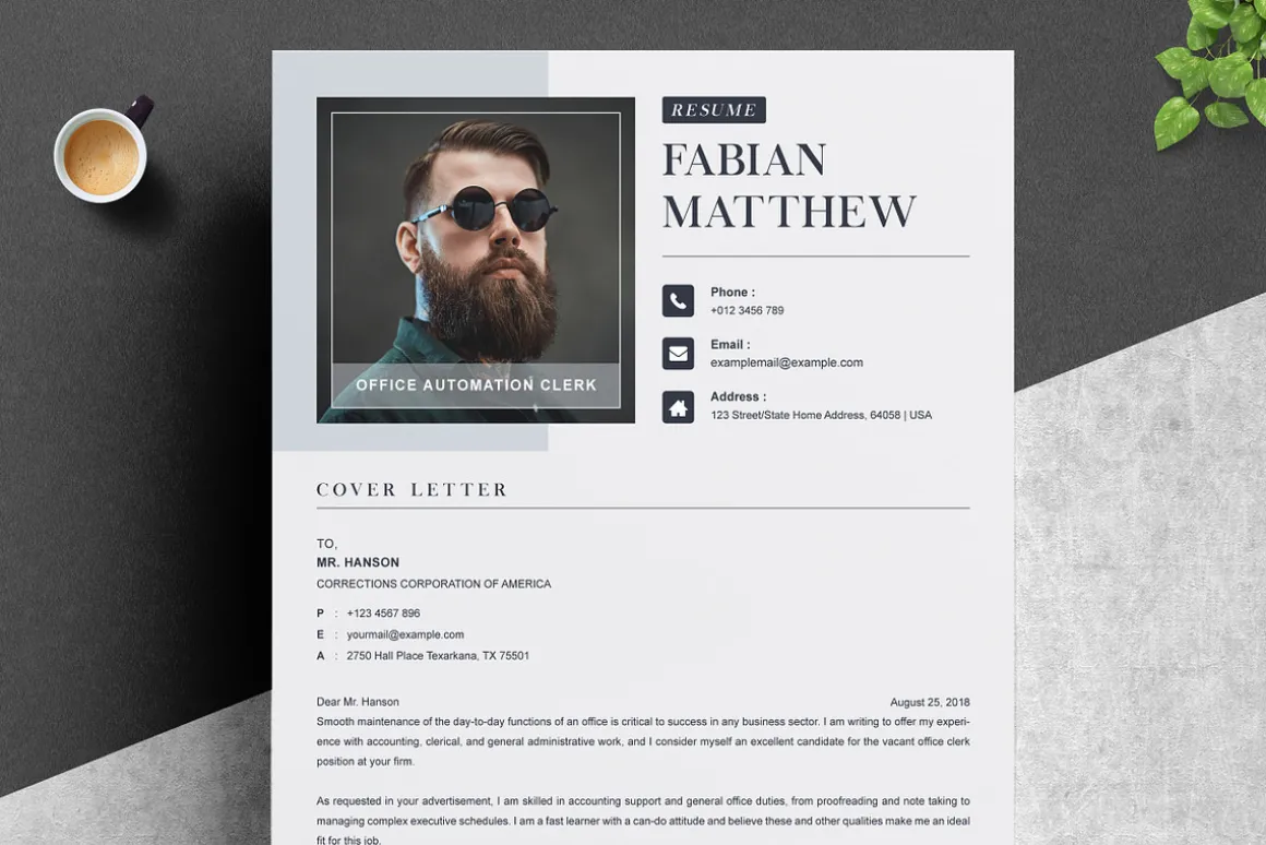 Modern Executive CEO Resume Template