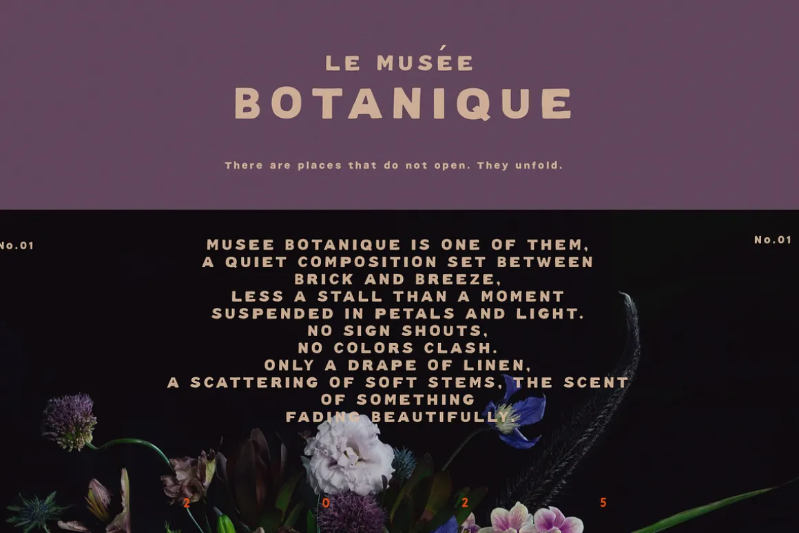 Modern Hand Lettered Font Library