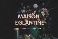 Modern Hand Lettered Font Library