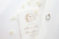 Modernist | Calligraphy Font